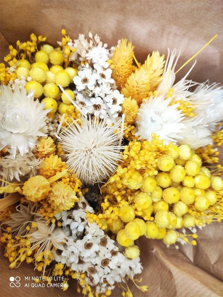Bouquets de flores secas - Imagen 8