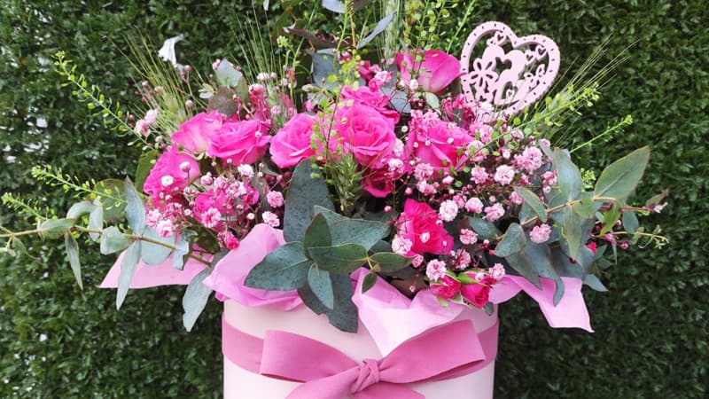 Flores y plantas online